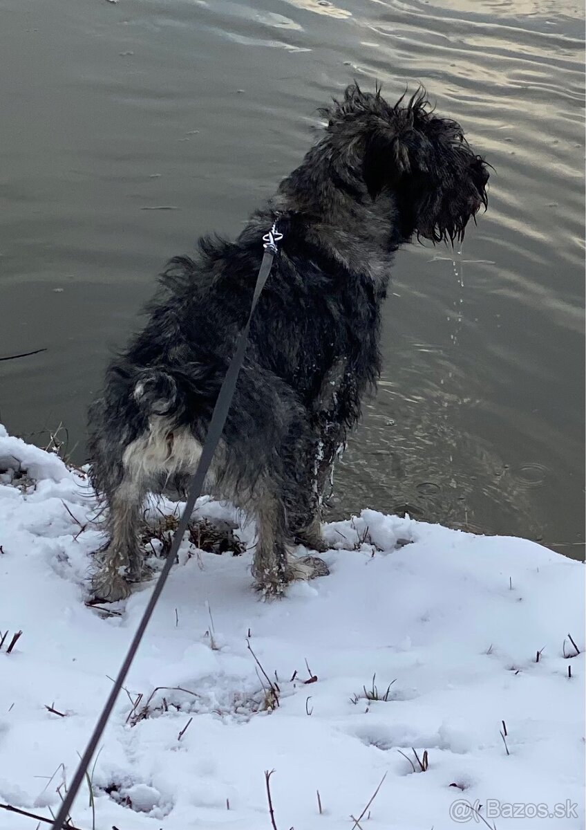 Stredný Bradáč - 4