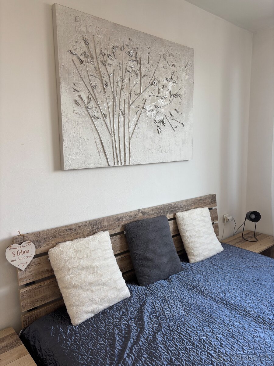 Ponúkam do dlhodobého prenájmu 3 izbový byt v BOJNICIACH - 4