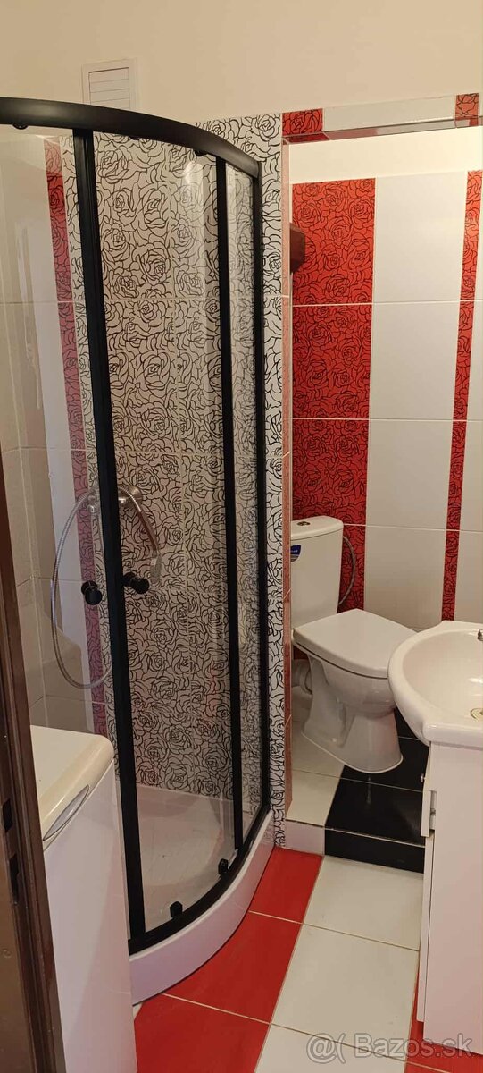 1 izbovy byt na prenajom - 4