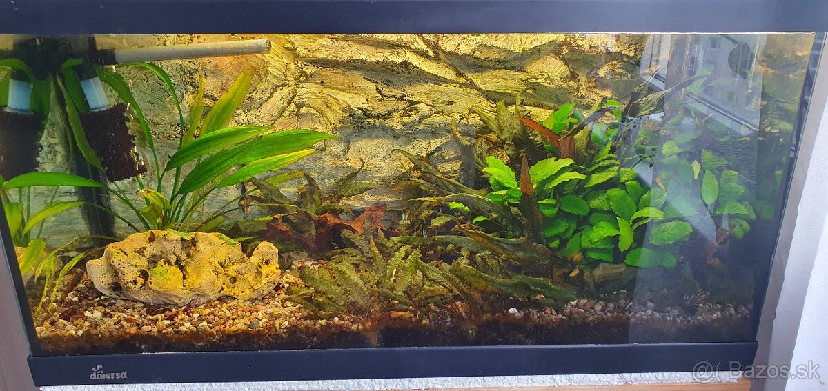 Akvárium 112l - 4