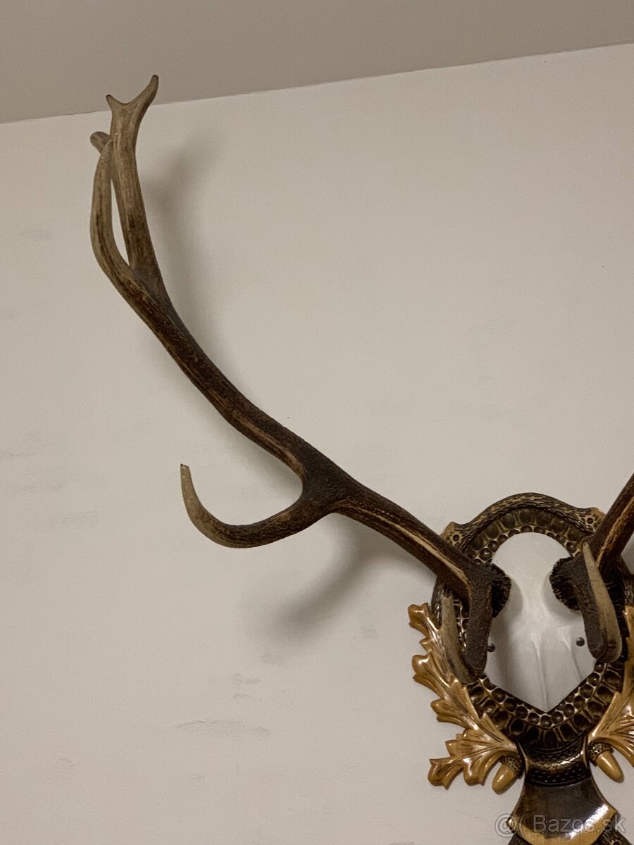 Jelenie Parožie - 4