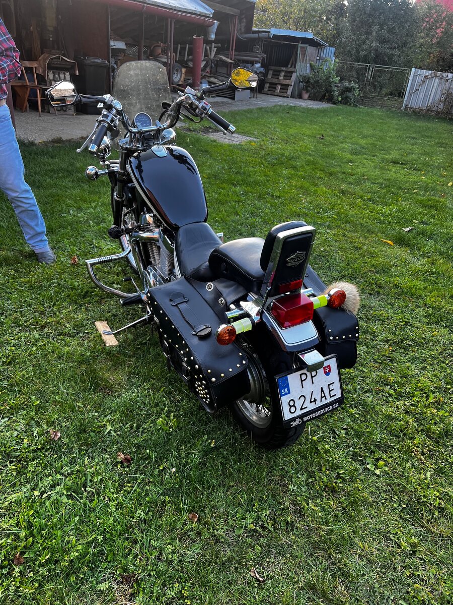 Suzuki Minesota Twin 600