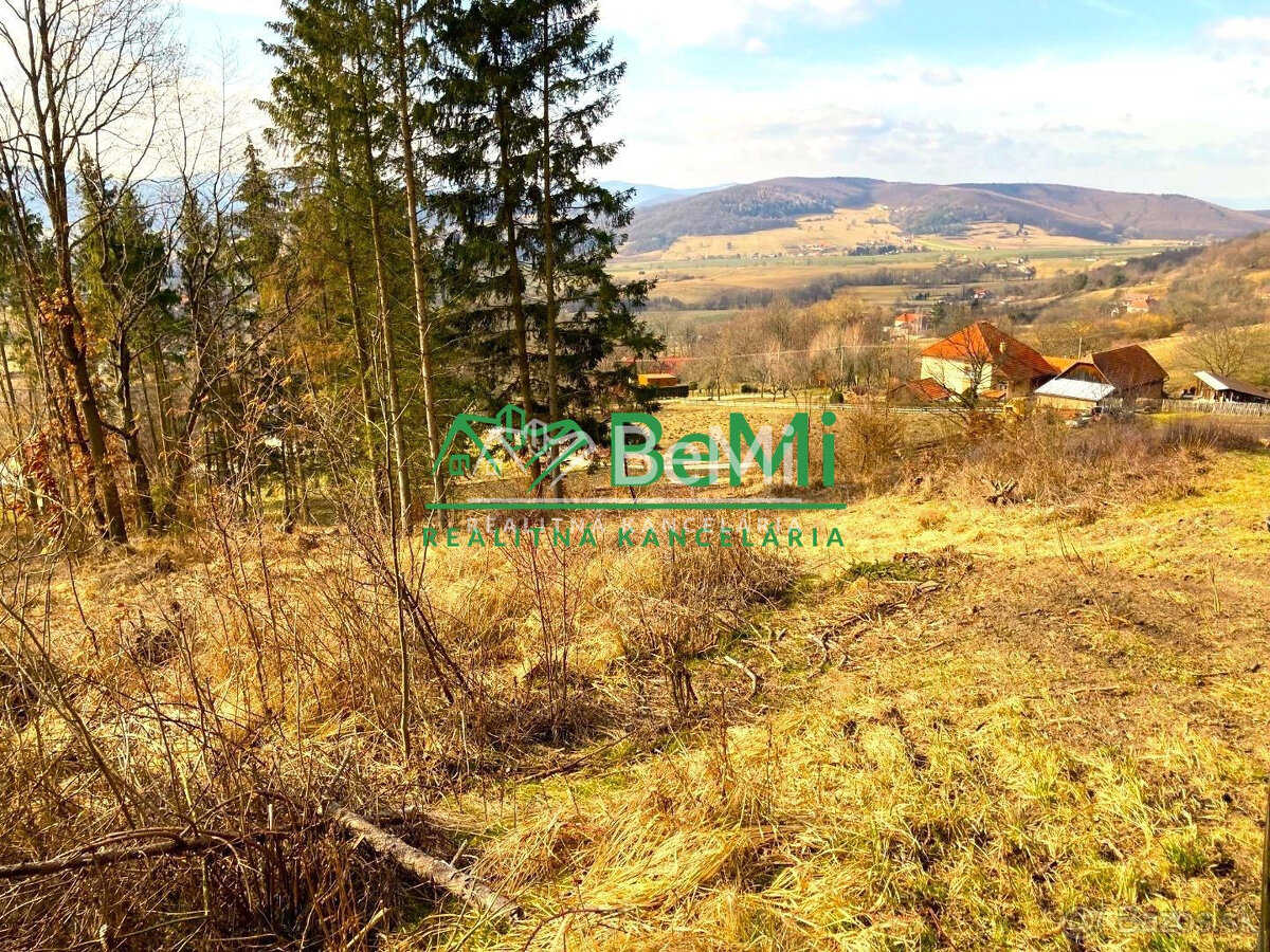 Pozemok pod lesom 1748 m2, Skliarovo - 4