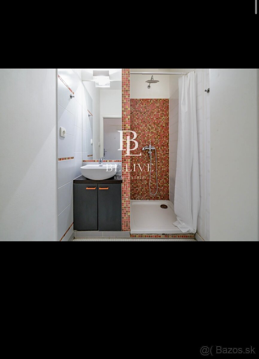 Dám do podnájmu - 4