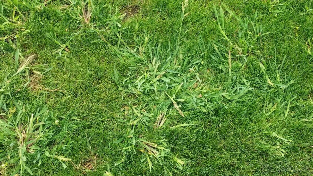 Puma Extra a Bofix - 4