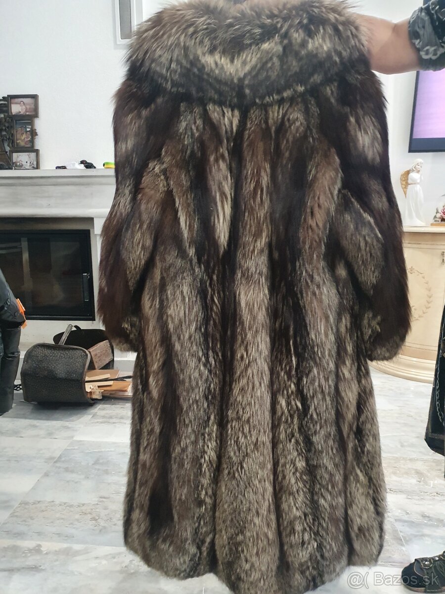 Strieborná liska - 4