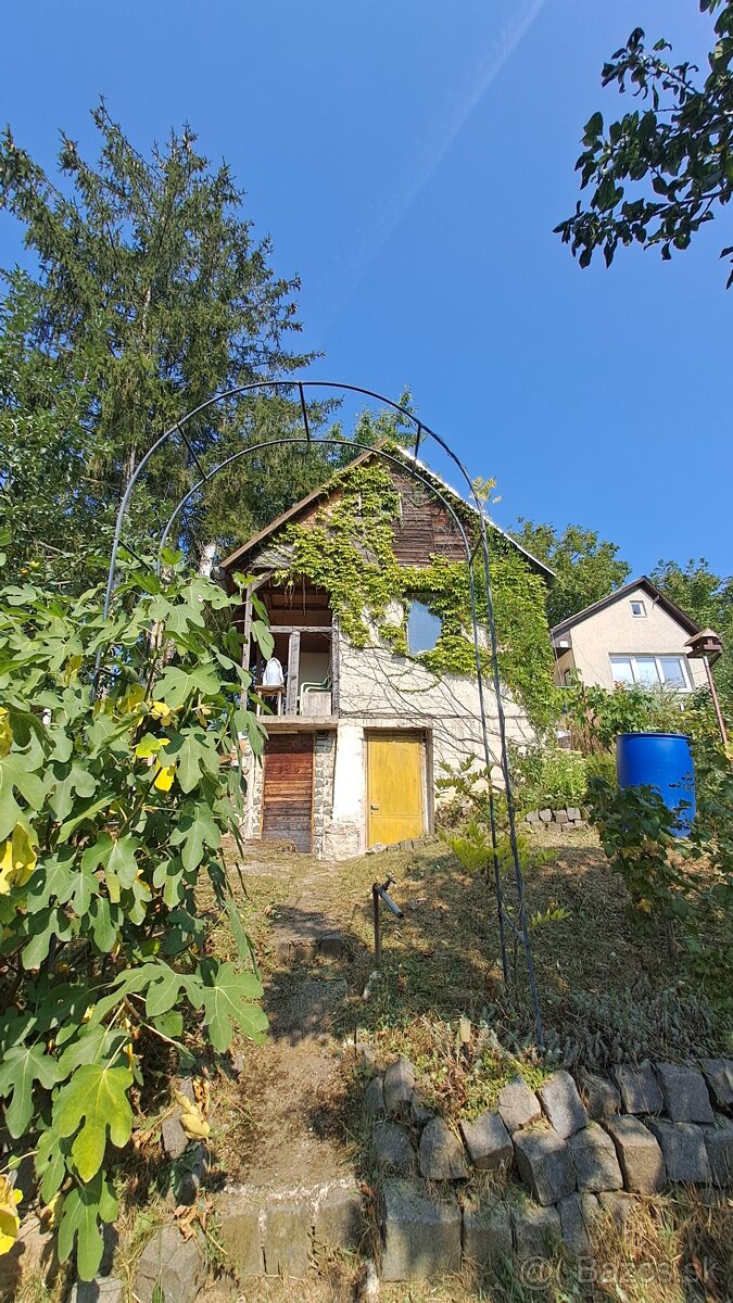 Záhrada s podpivničenou chatkou - 4