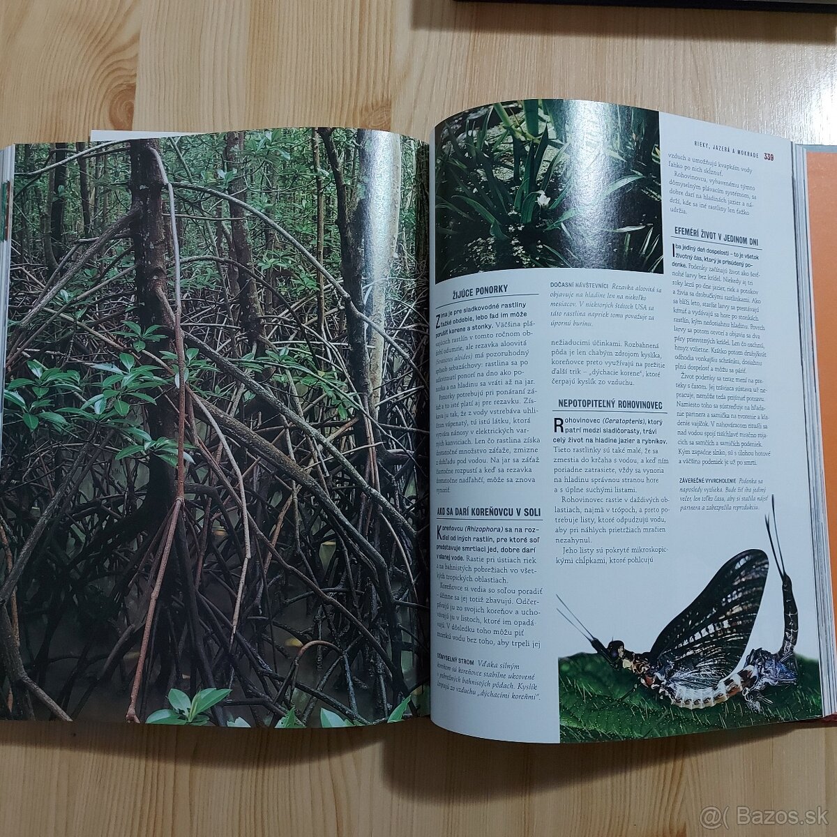 Reader's Digest výber - 4