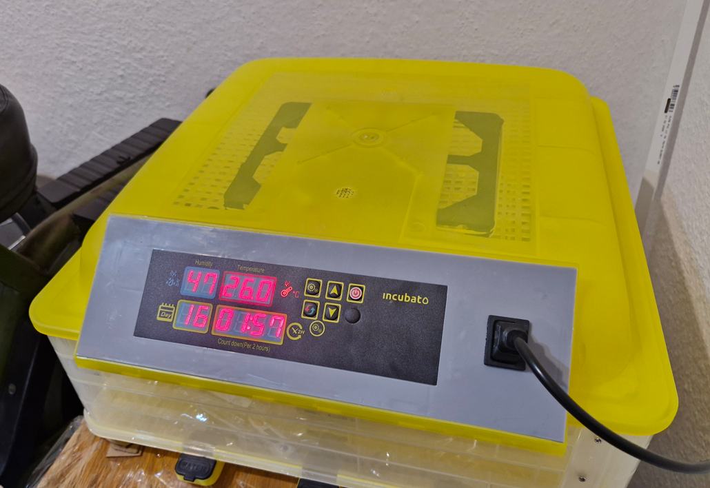 Liaheň na 112 vajec - 4