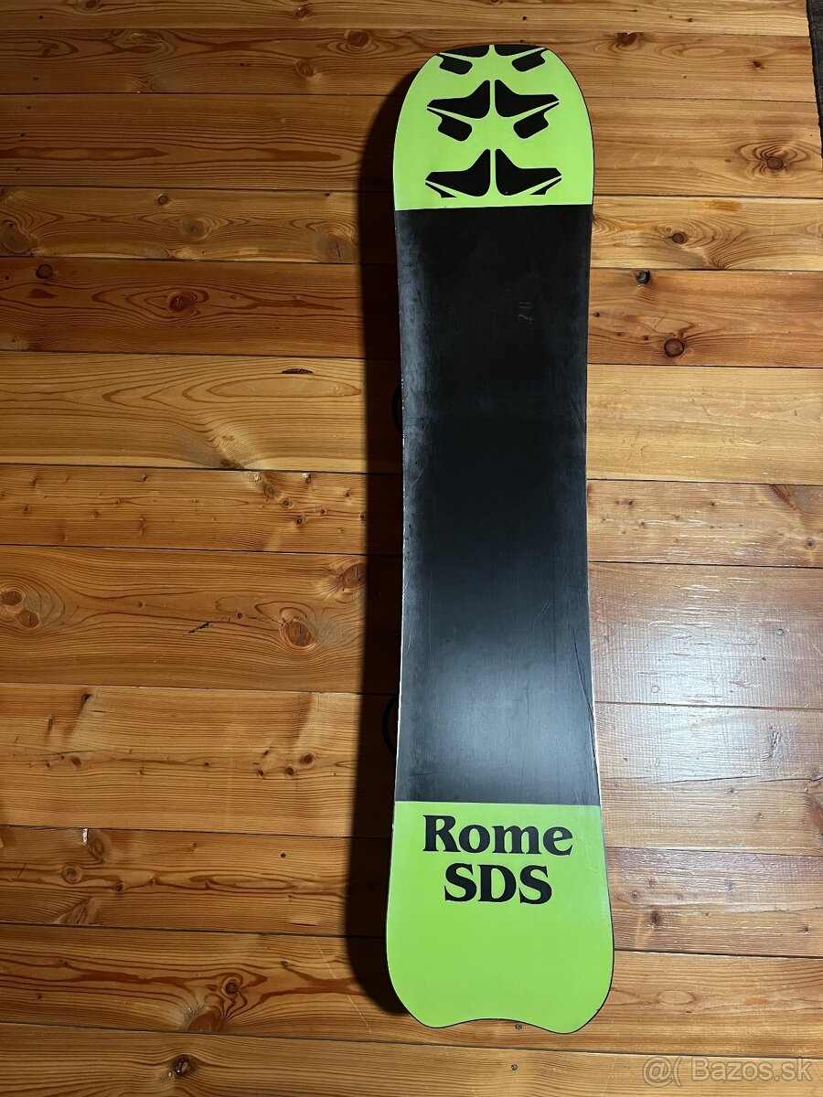 Rome Service Dog 153 - 4