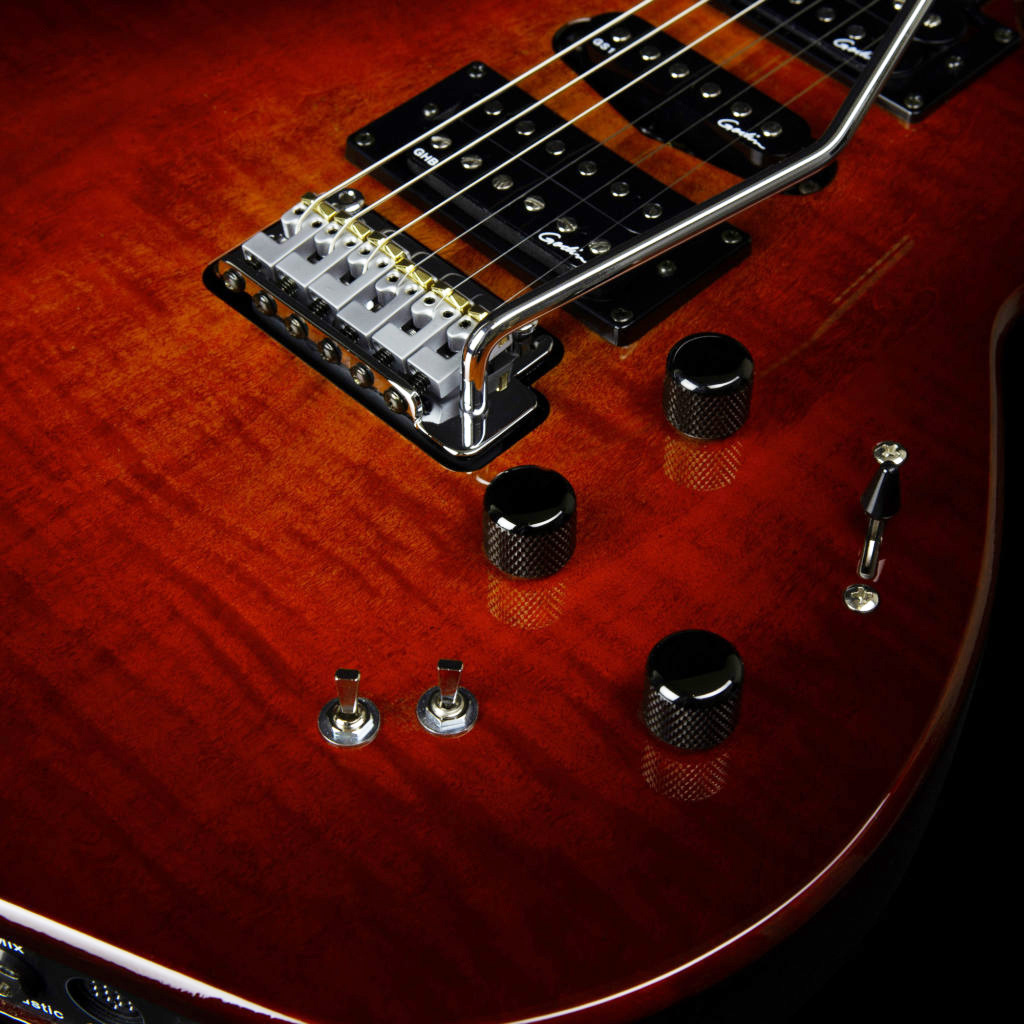 Godin XTSA 2007 P90/S/H/MIDI/PIEZO Canada - 4