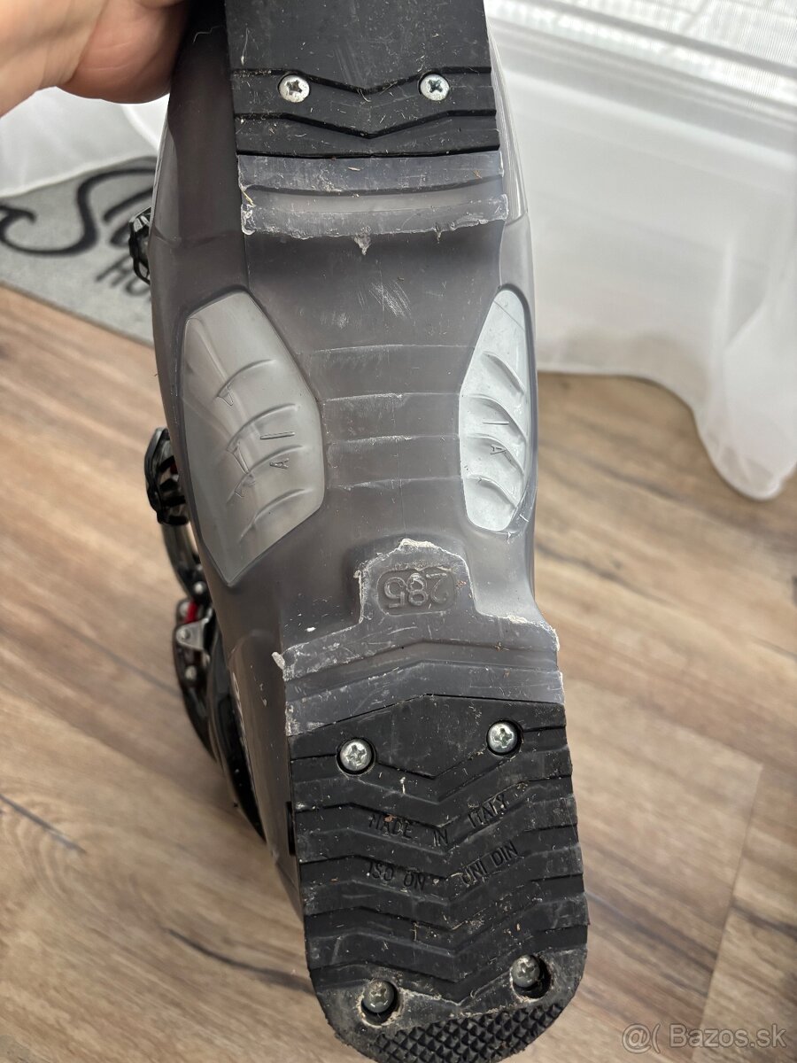 Lyžiarky dalbello - 4