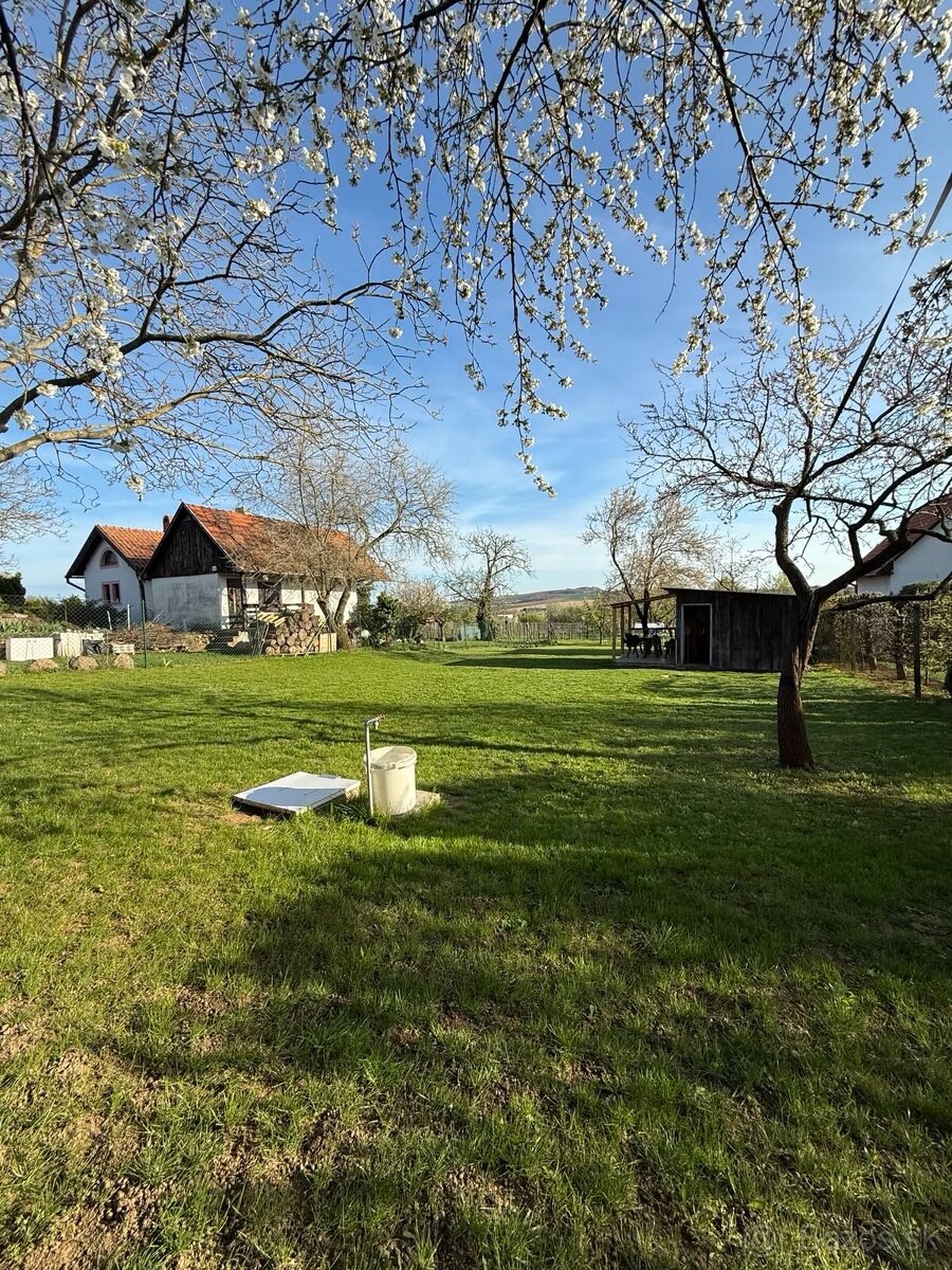 Pozemok, Levice - Svätý Ján - 4