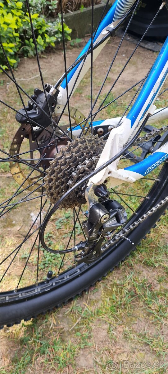 SCOTT ASPECT - 4