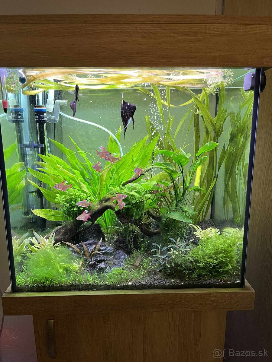 Komplet akvarium 150L - 4