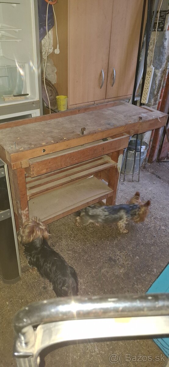 Stolársky Stvol - 4