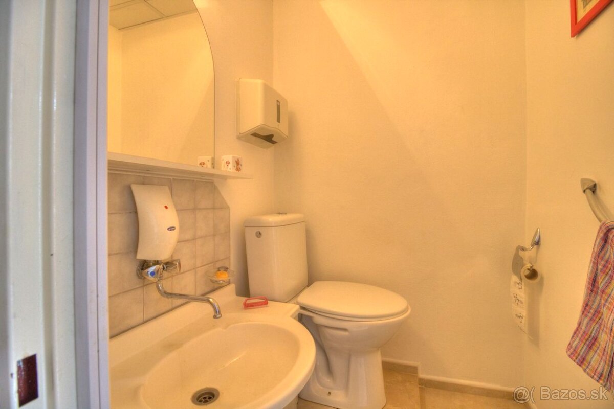 Prenájom priestoru - 4