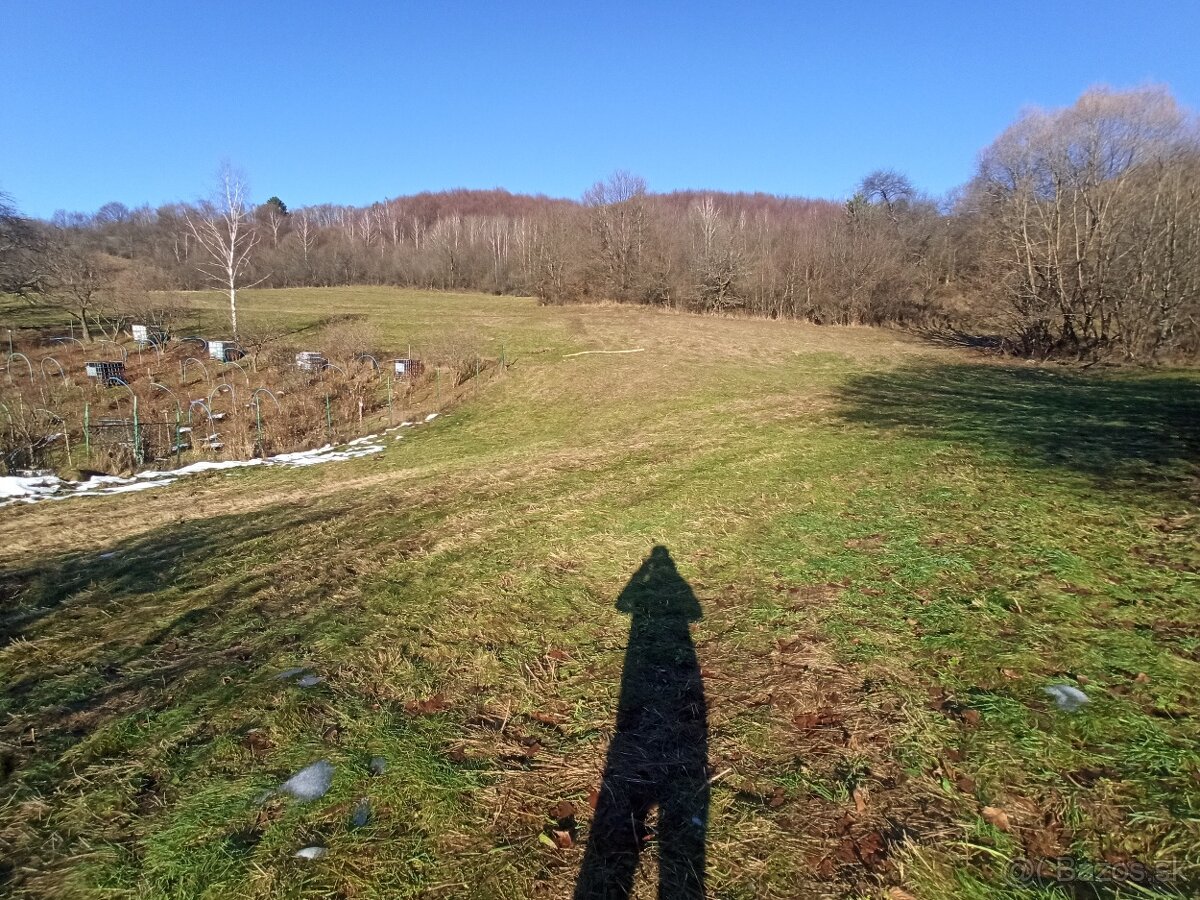 Pozemok na polosamote pod lesom - 4