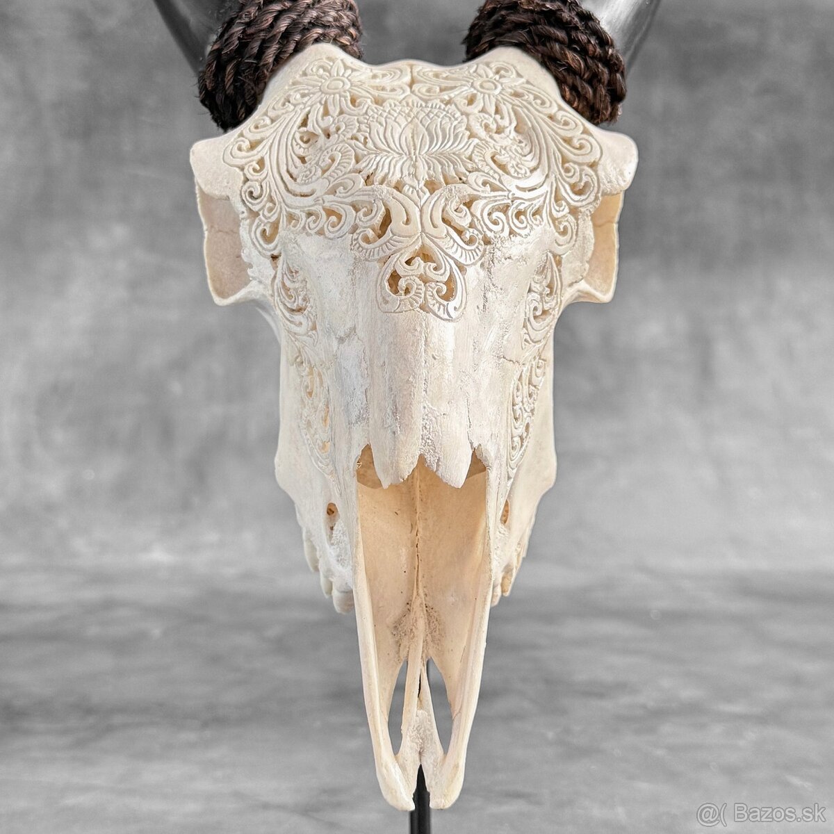 Autentická biela vyrezávaná lebka kozy - motív veľký lotos - 4