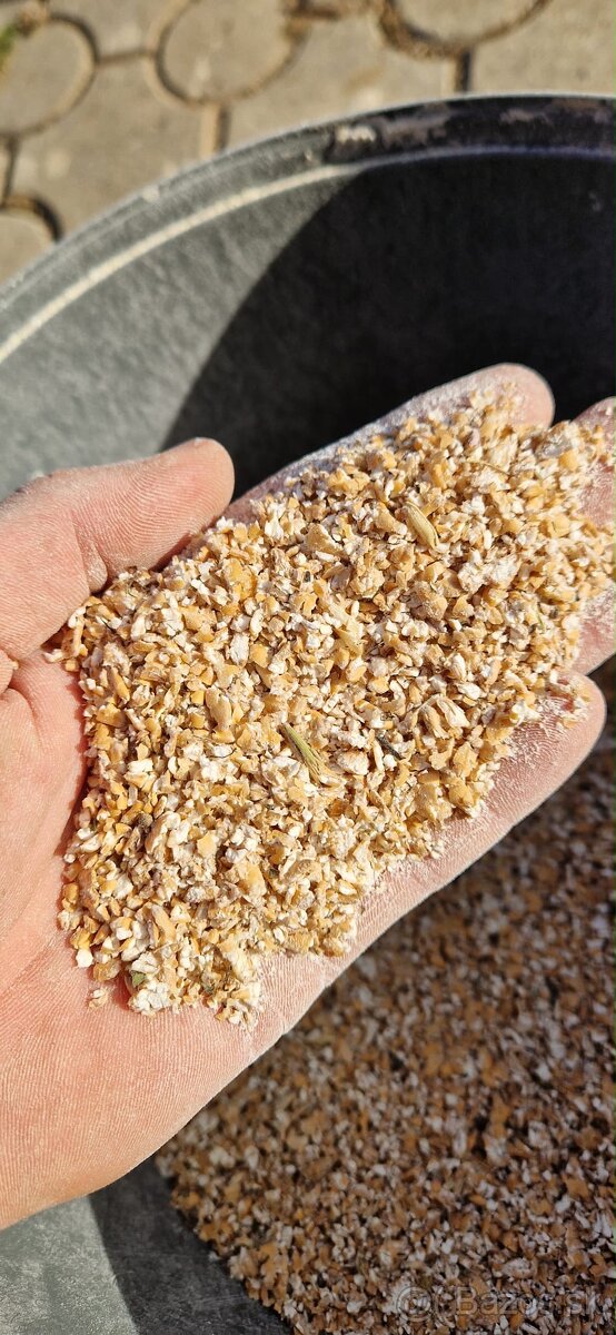 Krmivo pre nosnice - 4