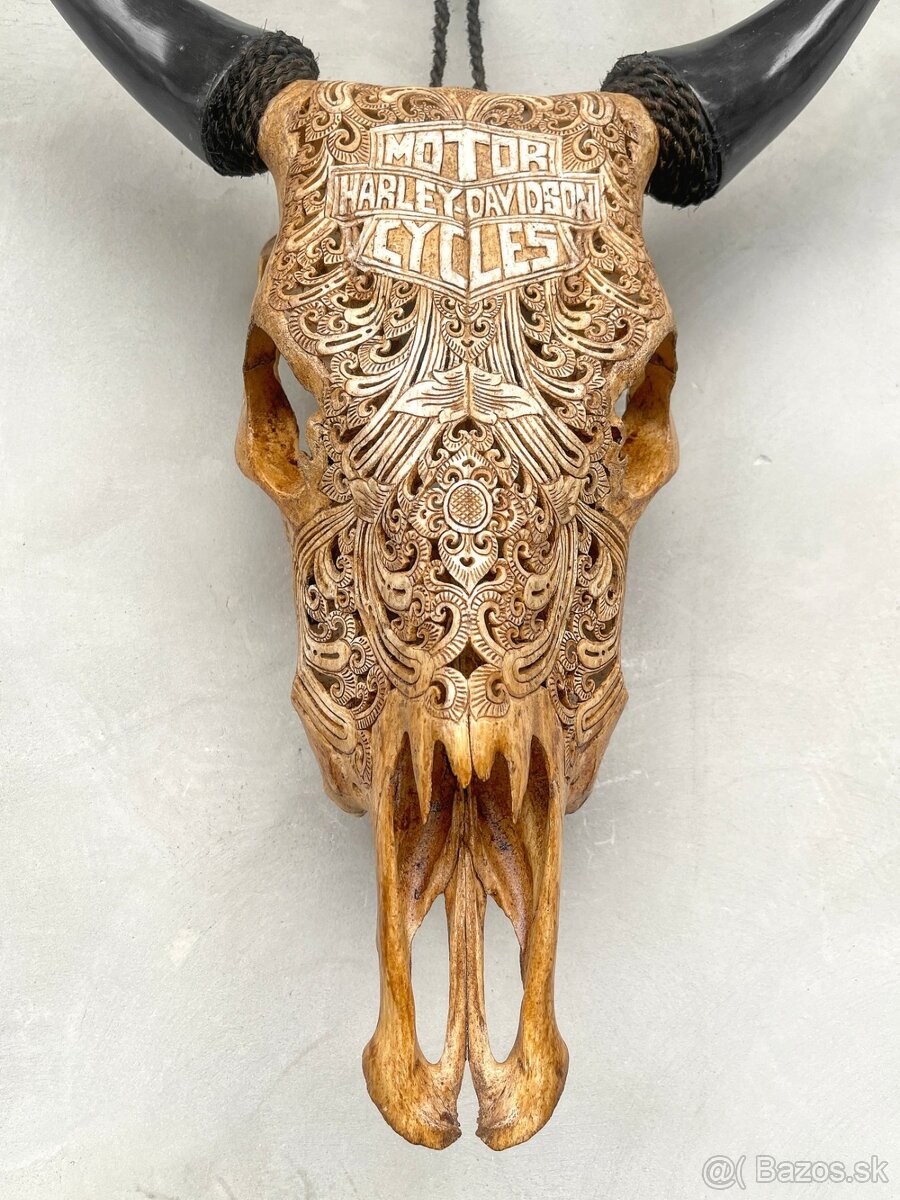 Ručne vyrezávaná lebka býka Harley Davidson, 54cm - 4