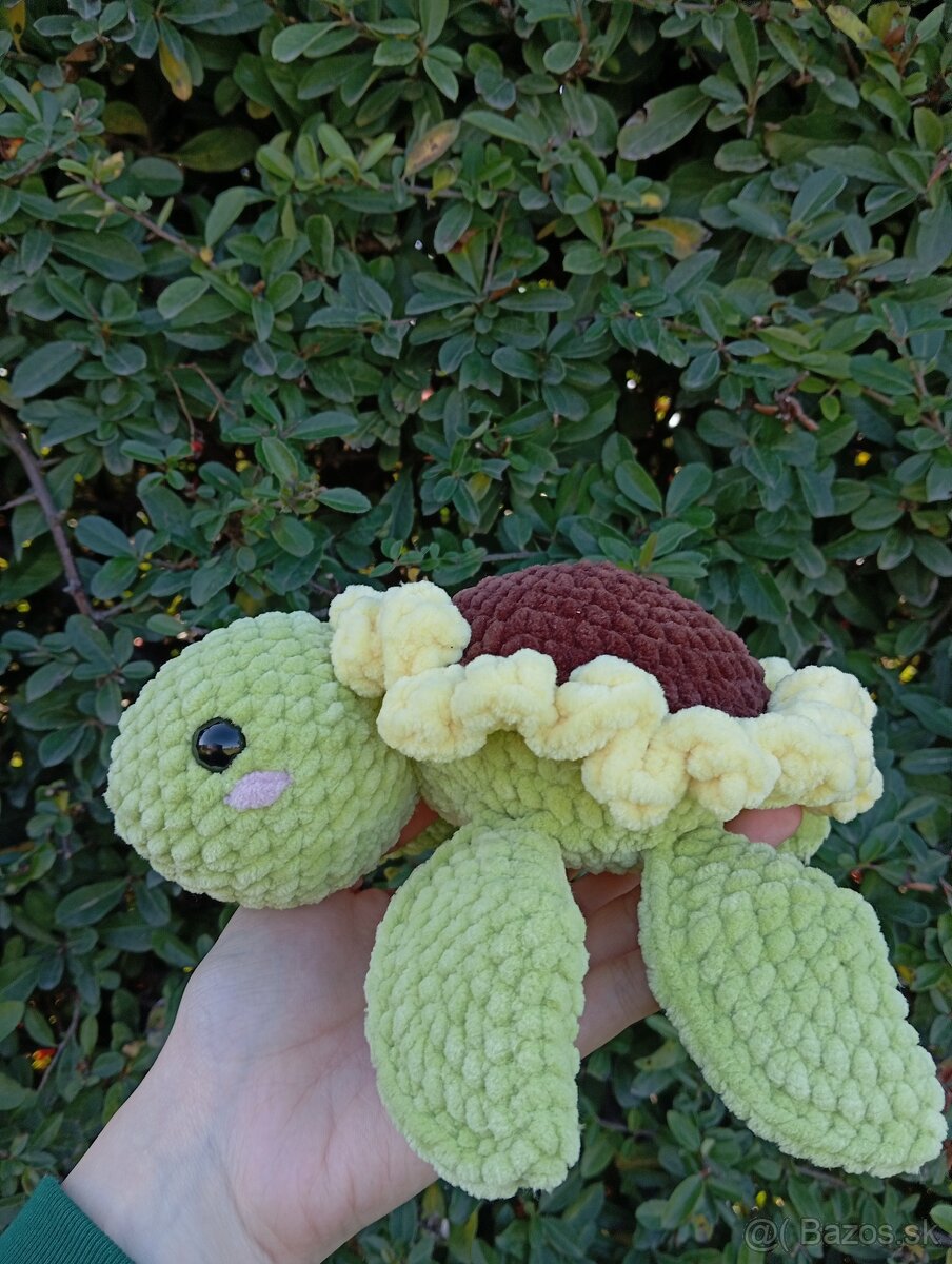 Háčkovaná korytnačka slnečnica - 4