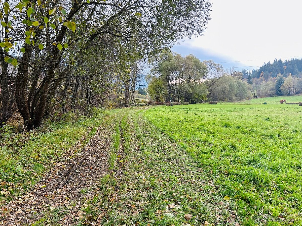 Rekreačný pozemok – Banisko (4101 m²) - 4