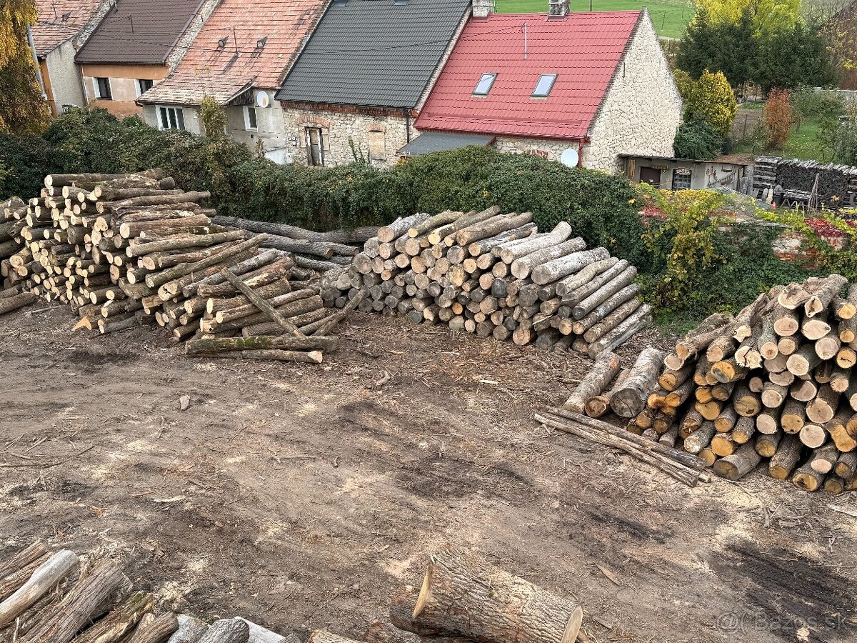 Palivové drevo Doprava ZADARMO do 20km - 4