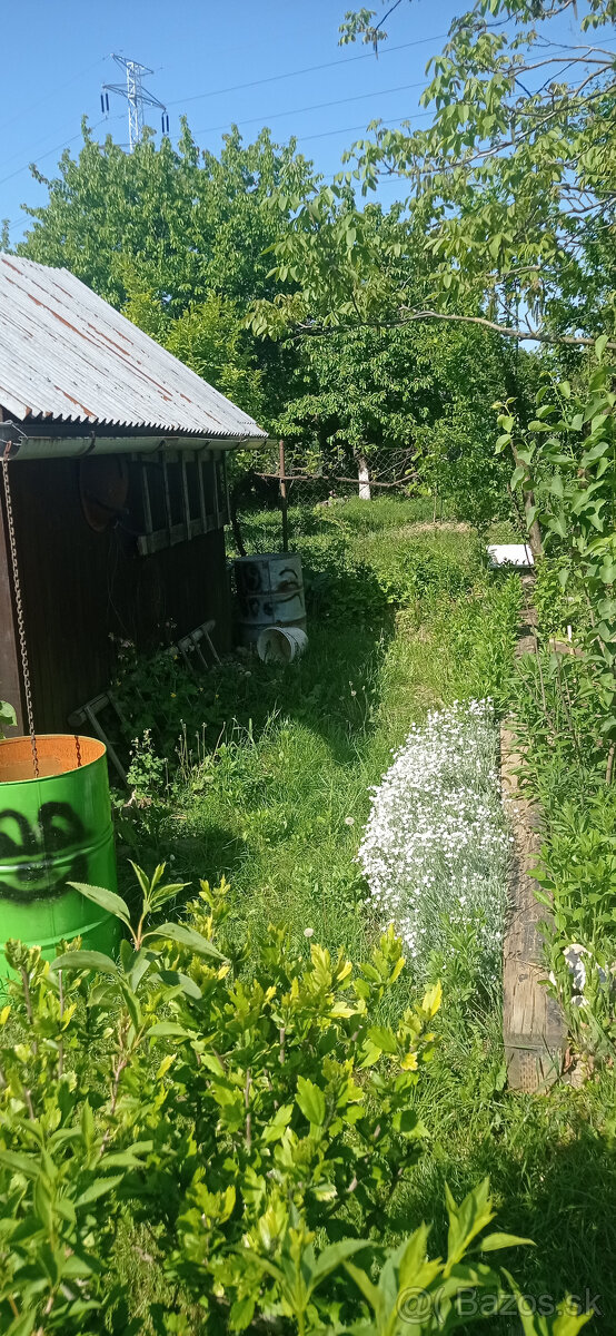 Predám Chatu záhradu - 4