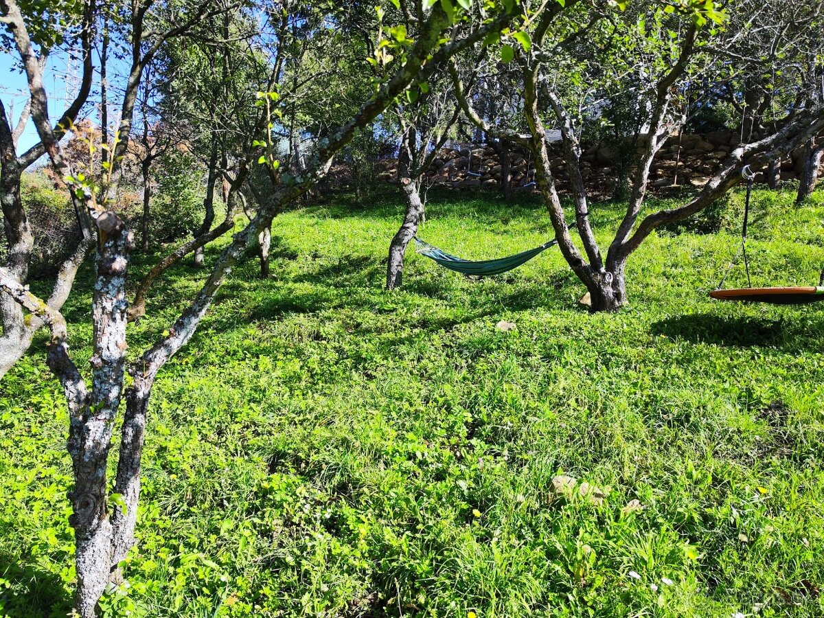 Záhrada s chatkou v pokojnom prostredí - 4