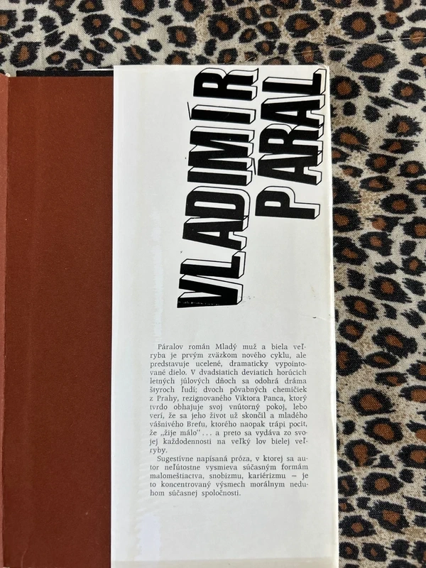 Mladý muž a biela veľryba - Vladimír Páral r.1977 - 4