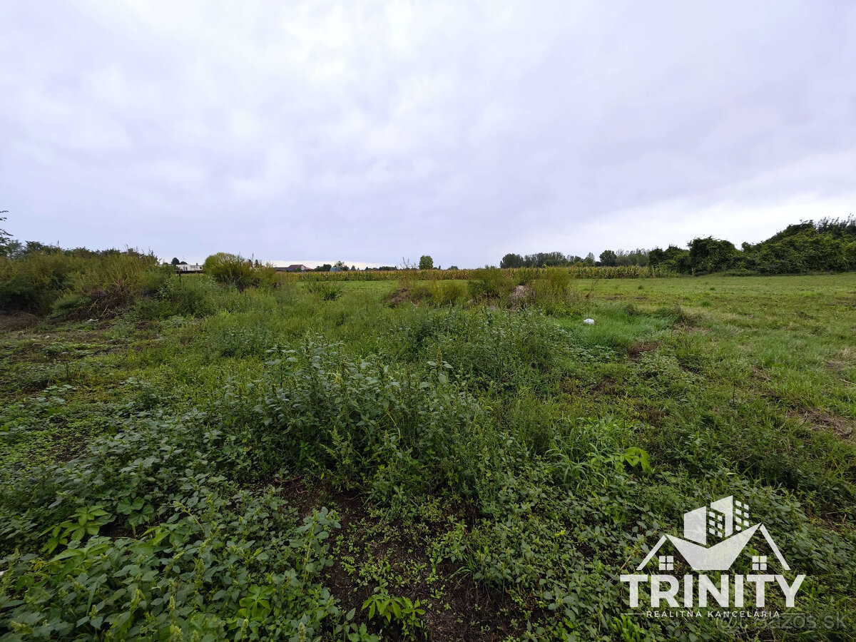 Na predaj novostavba 4-izbového rodinného domu v Nesvadoch - 4