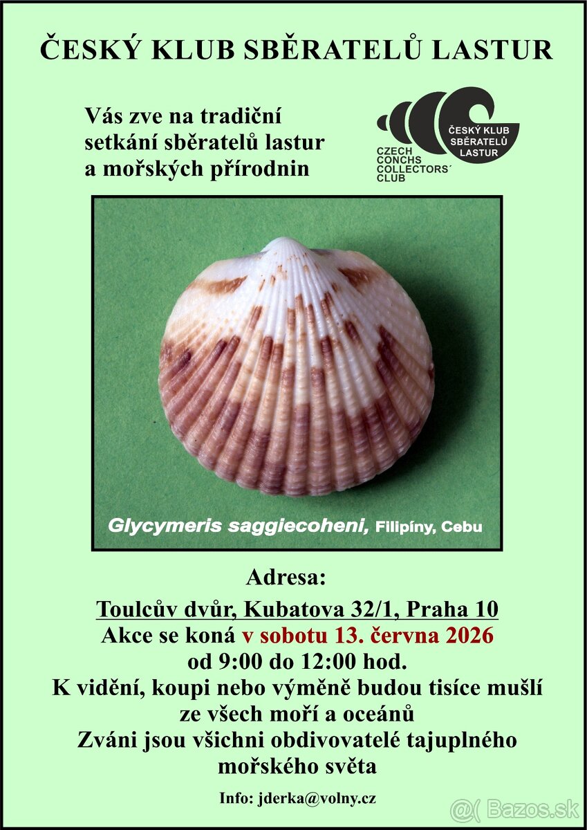 Zub - žralok tygří 2) - 4