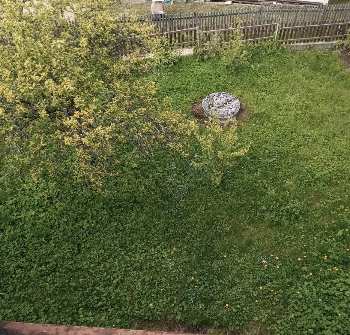 Predám pôvodnú chalupu - 4