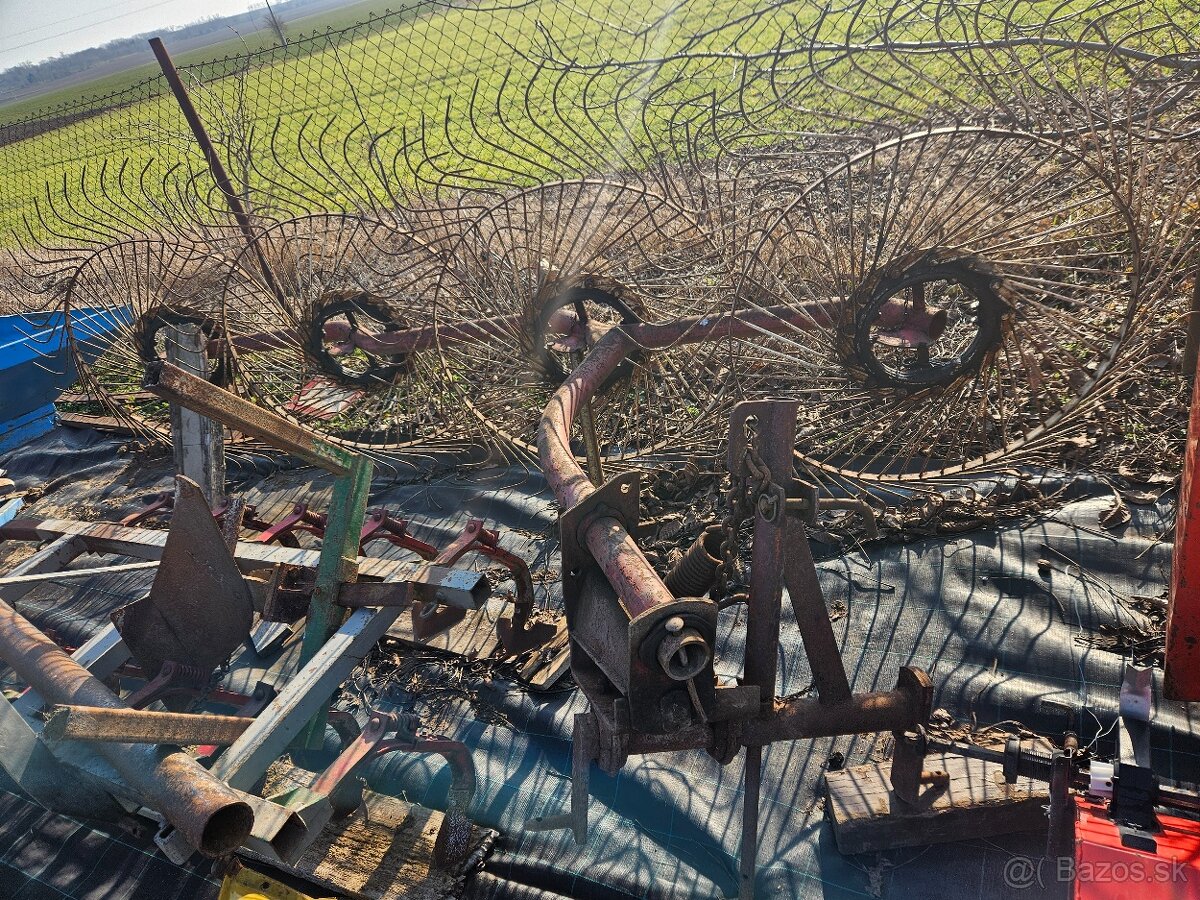 Slniečková hrabačka - 4