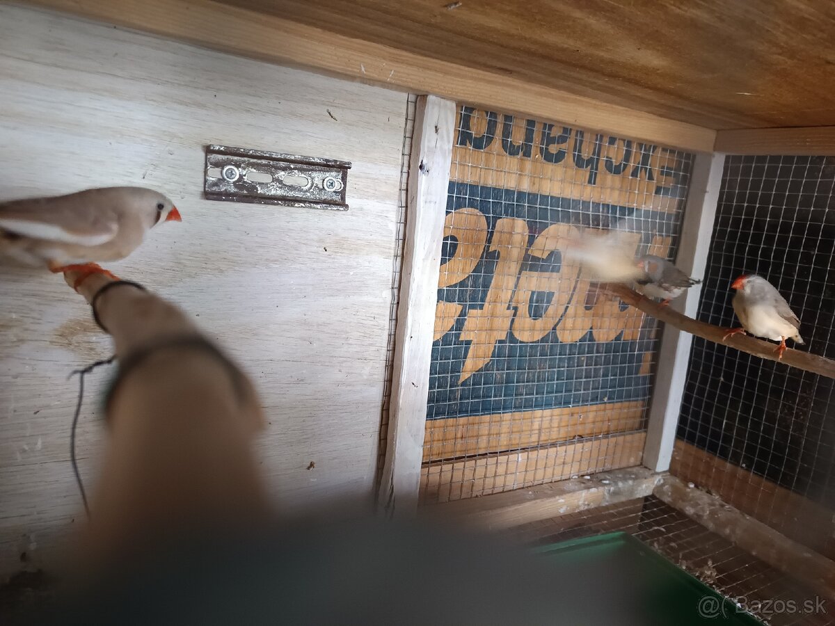 Predám zebričky - 4