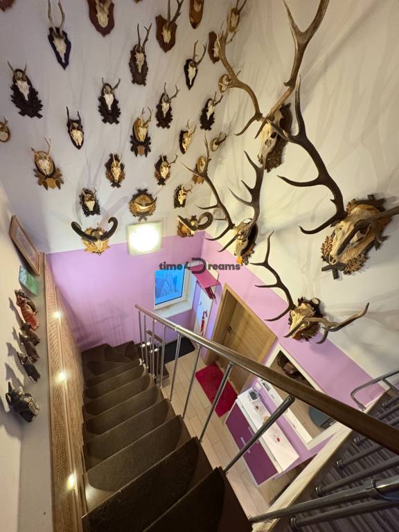 Na predaj: 2 izbový domček v Leviciach - 4