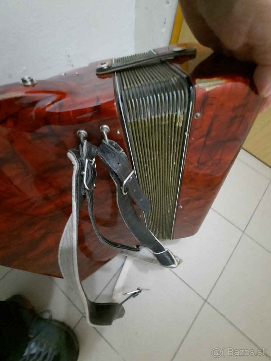 akordeón DELICIA - 4