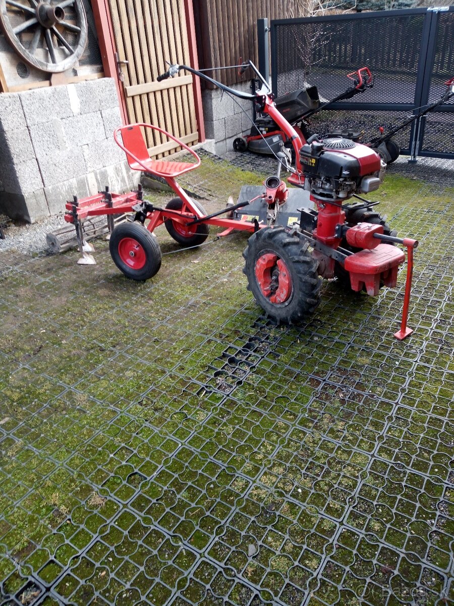 Briggs & Stratton 6,5 HP - 4