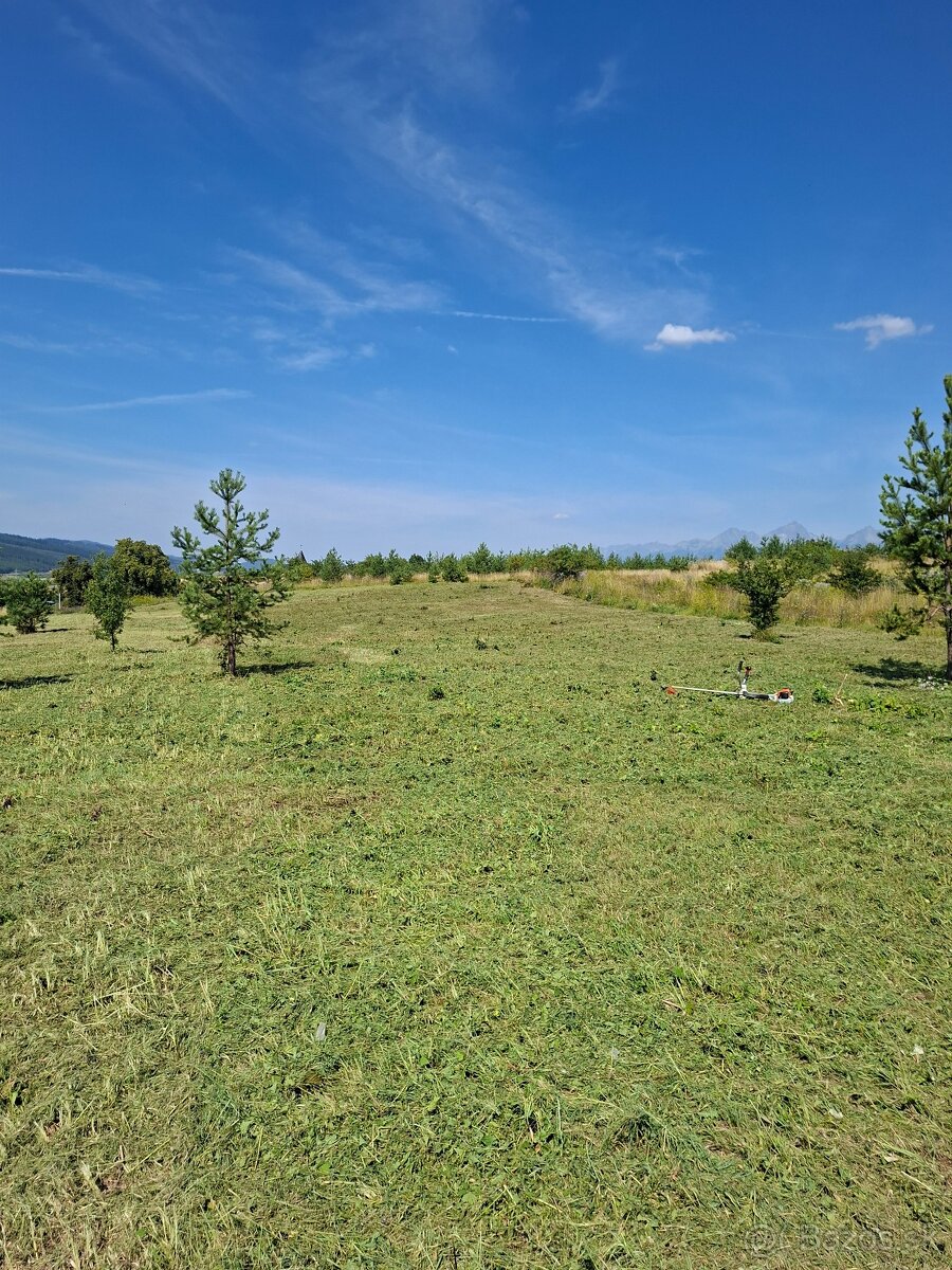 Mulčovanie trávy a pozemkov - 4