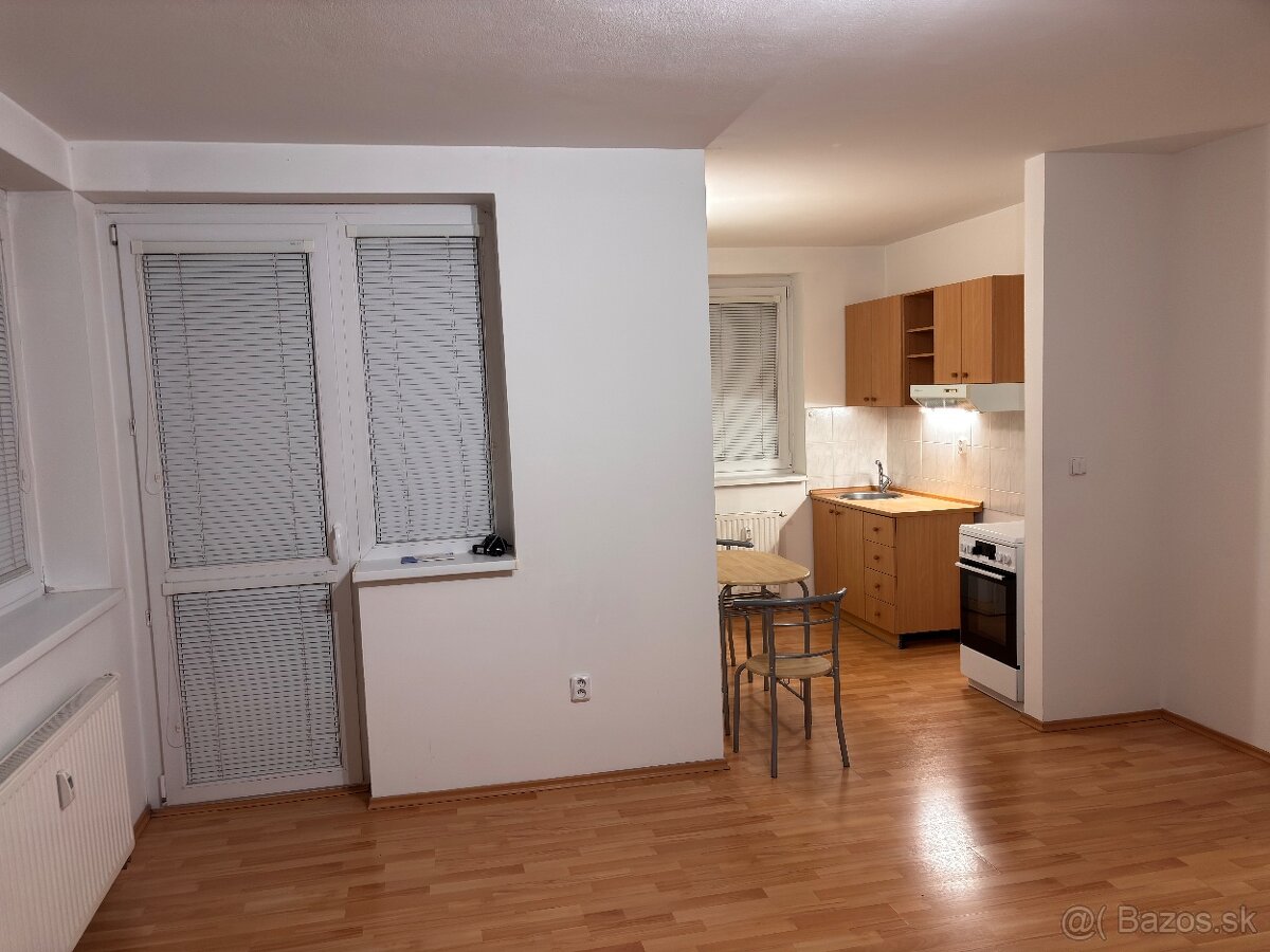 1 izbový byt na prenájom - 4
