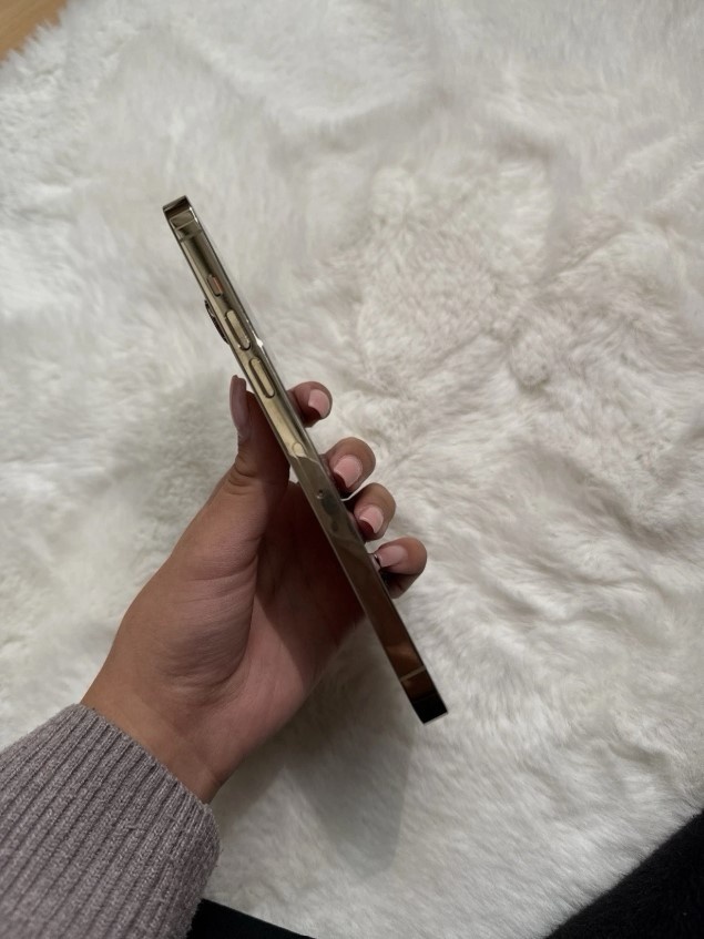 iPhone 14 pro max GOLD - 256GB - 4