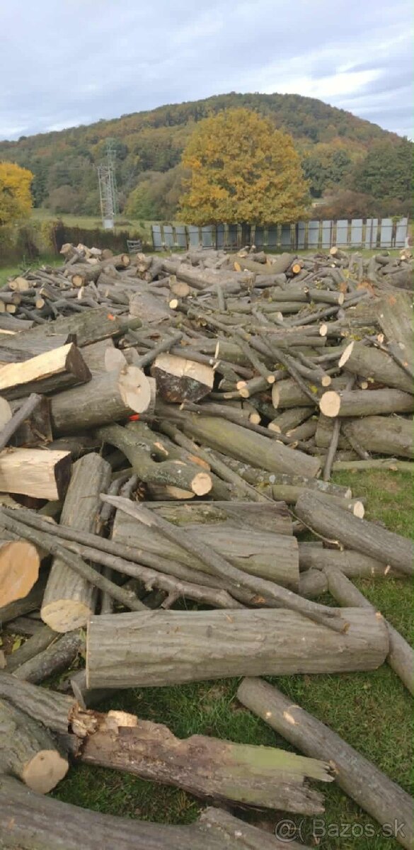Palivové drevo - 4