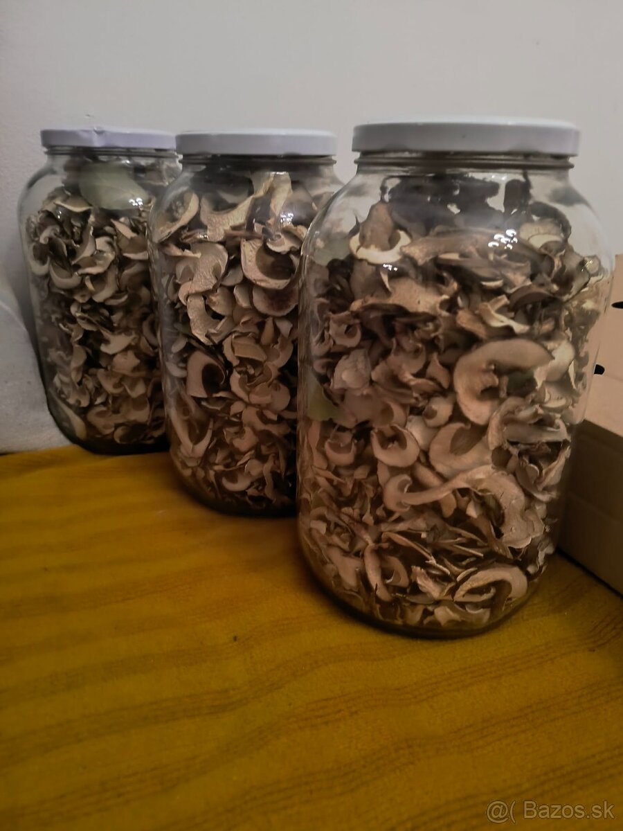 Sušené hríby - 4