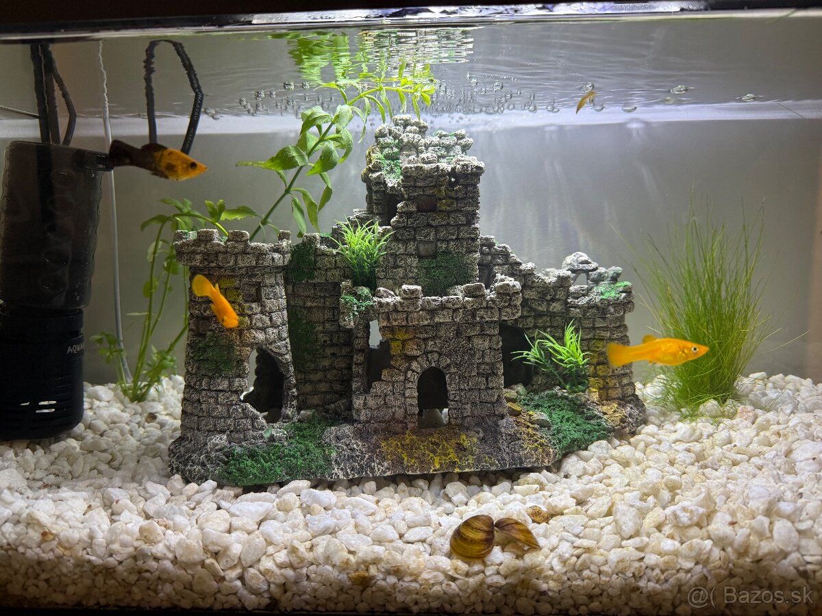 Predám komplet akvárium - 4
