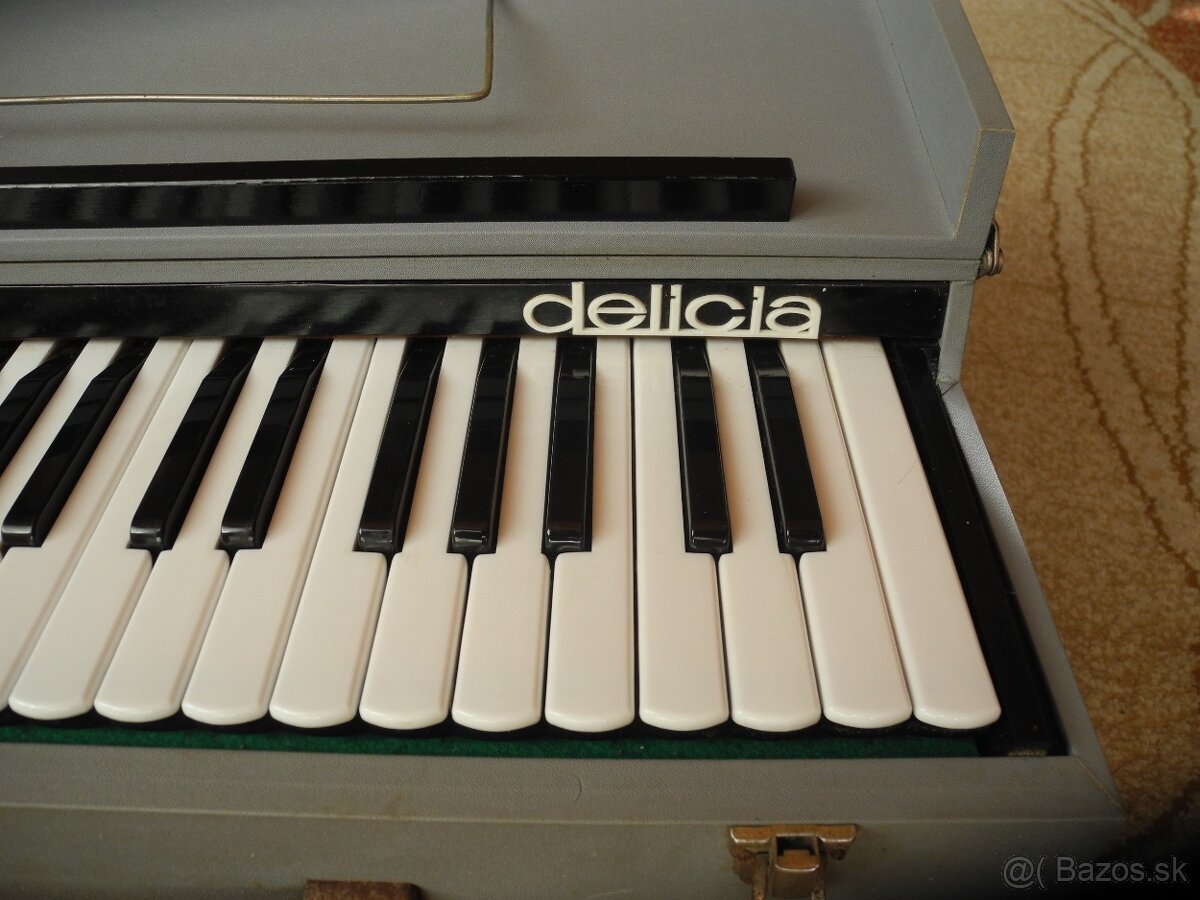 varhany DELICIA 700 - 4