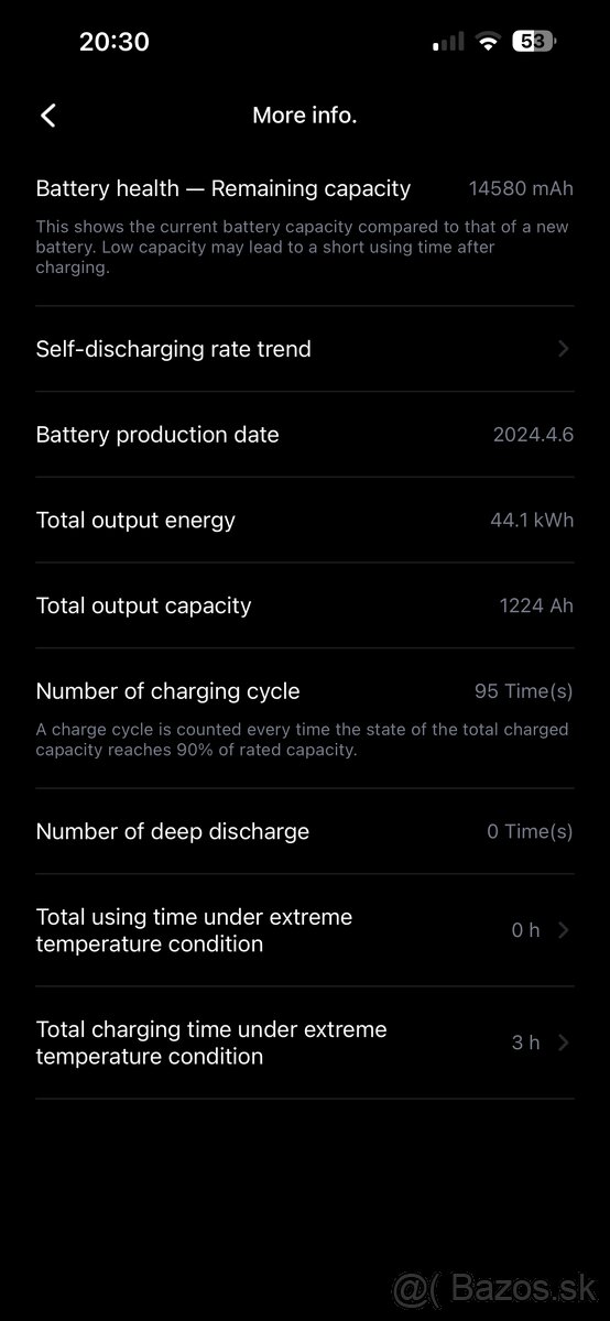 Segway Ninebot G2 Max - 4