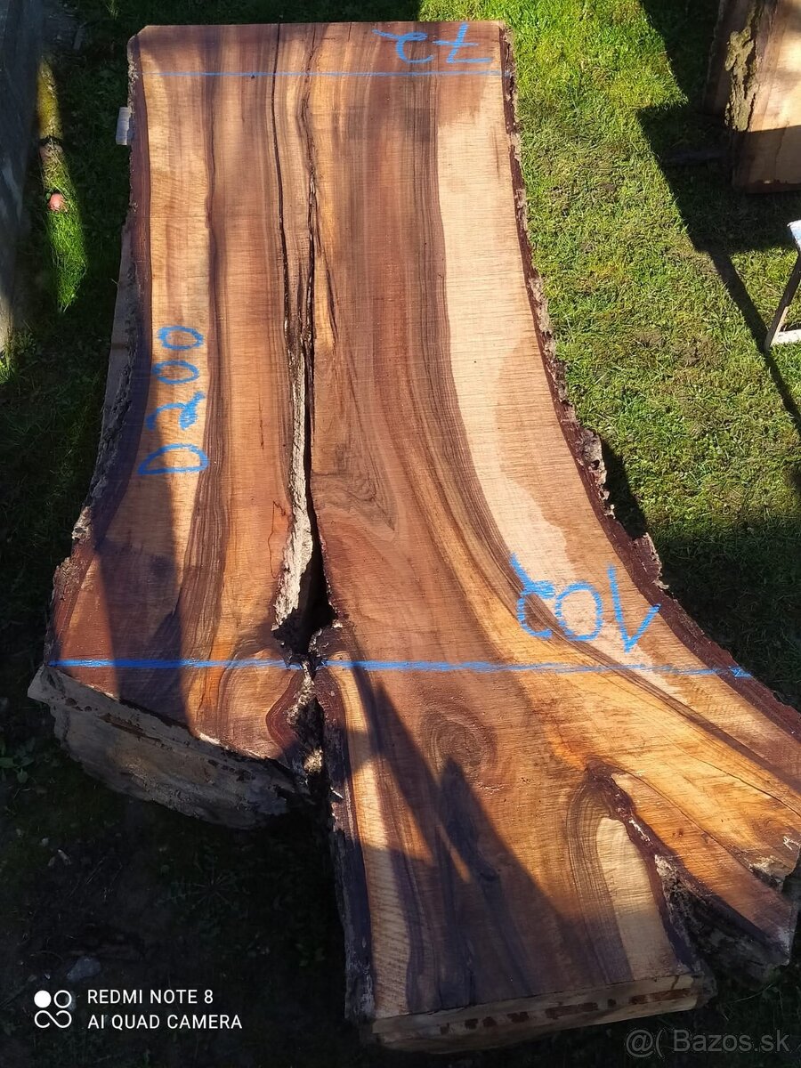 Orechové fošne/foršne - 4