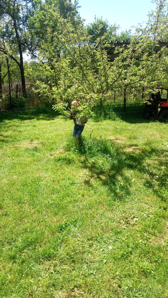 Hľadáme dobrovoľníkov - 4