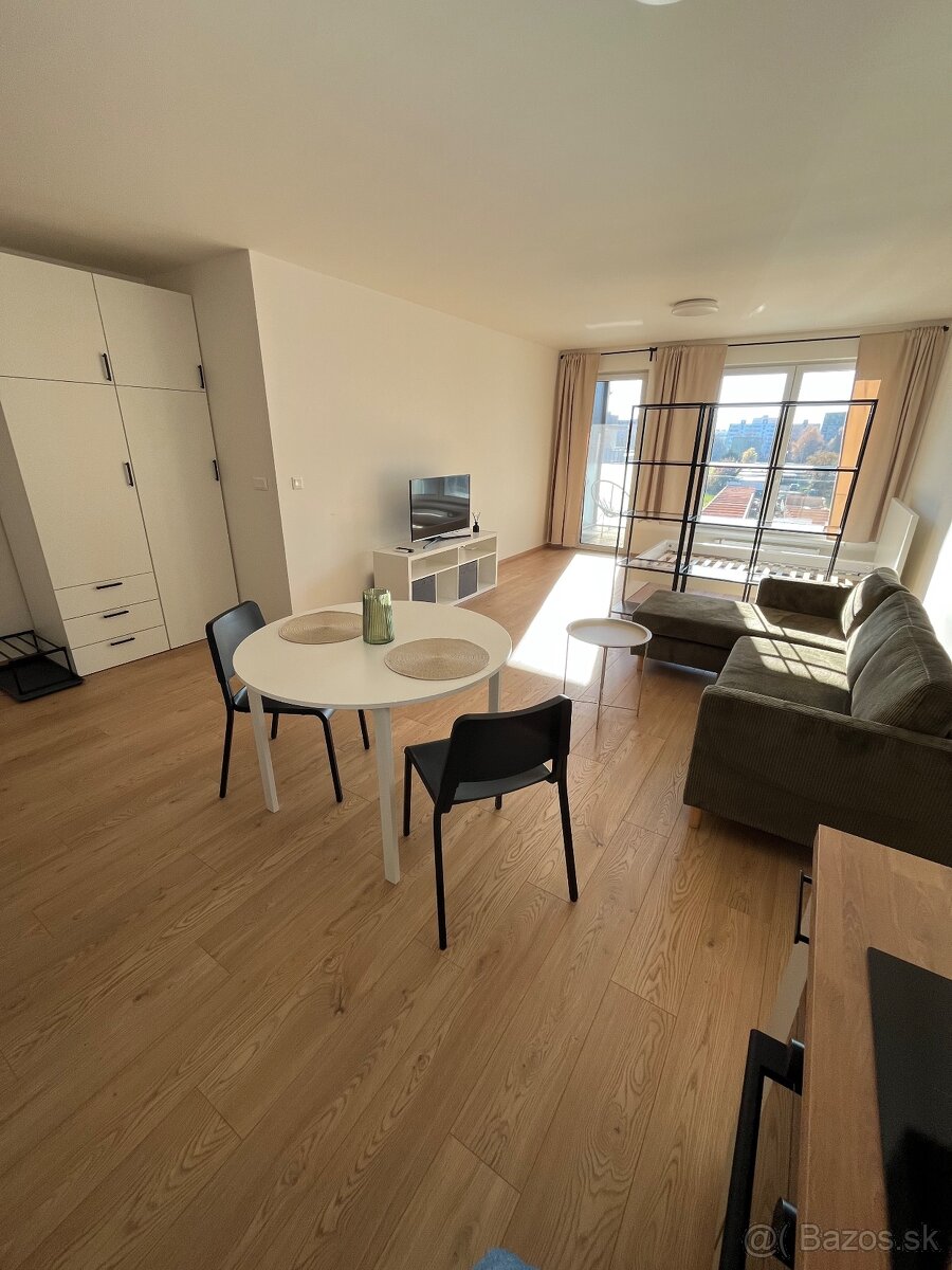 Na prenájom 1- izbový byt v novostavbe - 4